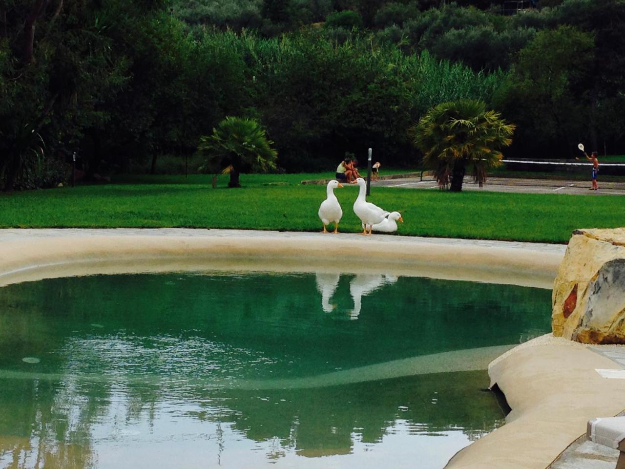 Agriturismo Ada Musso Diano Borello Exterior foto